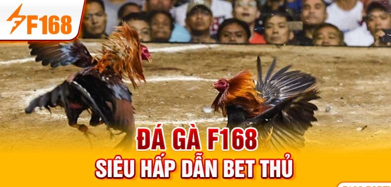 Đá gà F168 siêu hấp dẫn bet thủ