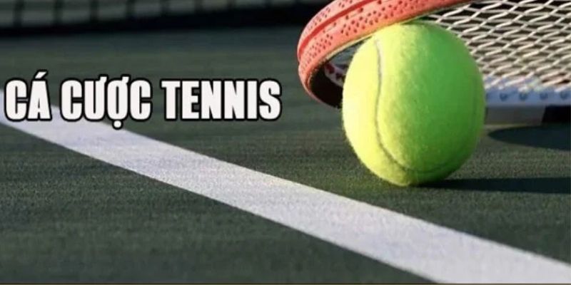 Khám phá các kèo cược giải đấu Tennis phổ biến Khám phá các kèo cược giải đấu Tennis phổ biến