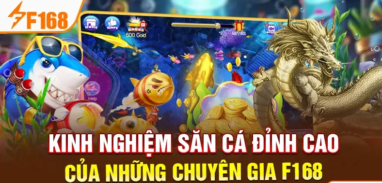 Kinh nghiệm săn cá đỉnh cao của những chuyên gia F168